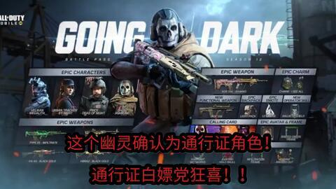 使命召唤新赛季爆料最新,揭秘全新爆料，战火再燃，英雄集结！