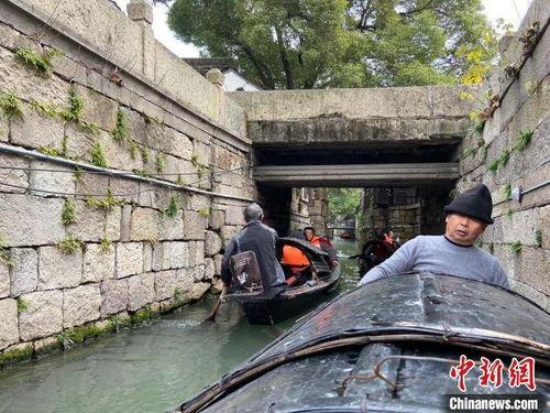 绍兴跳桥最新爆料大善村,真相与疑云交织