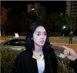 杨琳最新爆料视频大全下载,揭秘幕后真相，带你走进事件核心